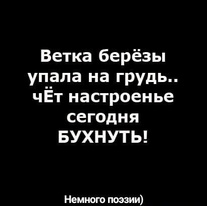 Ветка берёзы упала на ГРУДЬ чЁт настроенье сегодня БУХНУТЬ Немного поэзии