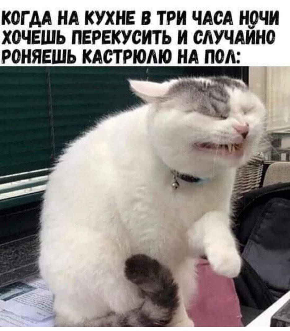 КОГ АА НА КУХНЕ В ТРИ ЧАСА Н_ОЧИ ХОЧЕШЬ ПЕРЕКУСИТЬ И СЛУЧАИНО РОНЯЕШЬ КАСТРЮАЮ НА ПОА