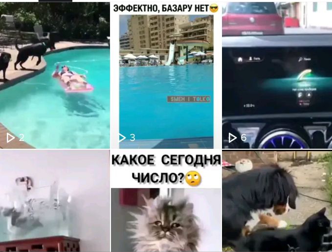 ЭФФЕКПЮ БАЗАРУ НЕТ 340 КАКОЕ СЕГОДНЯ ц ЧИСЛО