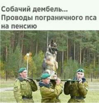 Собачий дембель Проводы пограничного пса на пенсию