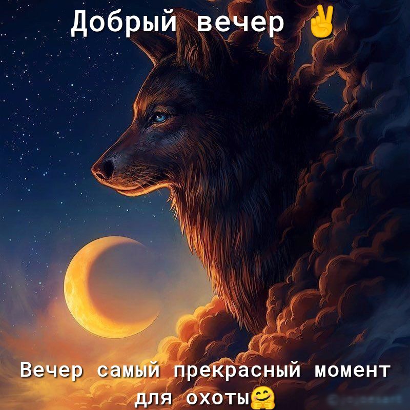 Вэ чар самый гдді даный момент ттыЁЭ кпд