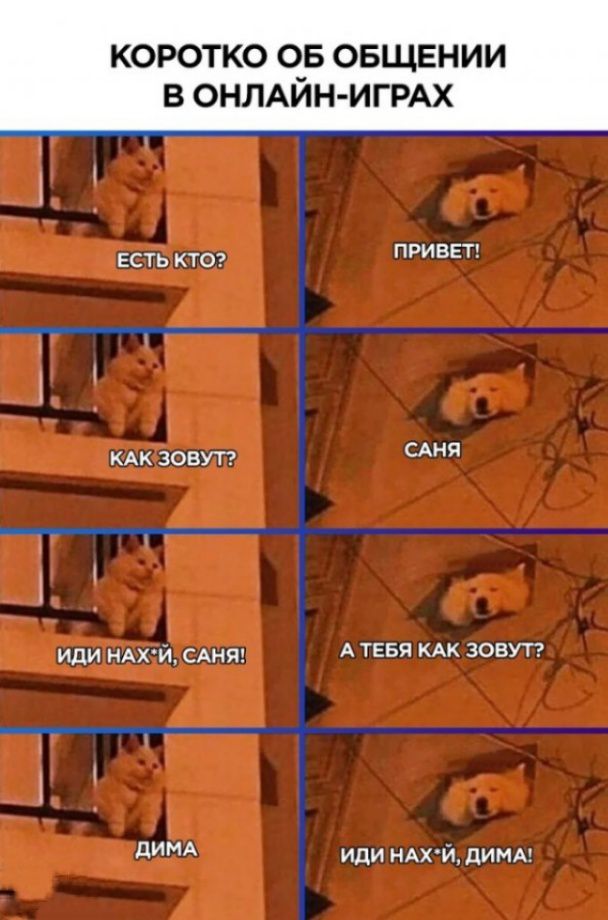 КОРОТКО ОБ ОБЩЕНИИ в ОНЛАЙН ИГРАХ есть ктог ПРИВЕТ ______ кдк зовут САН ______д или НАХЙ_ САНЯ А ТЕБЯ КАК зовут ___Ь __ ди иди НАХЙ димы