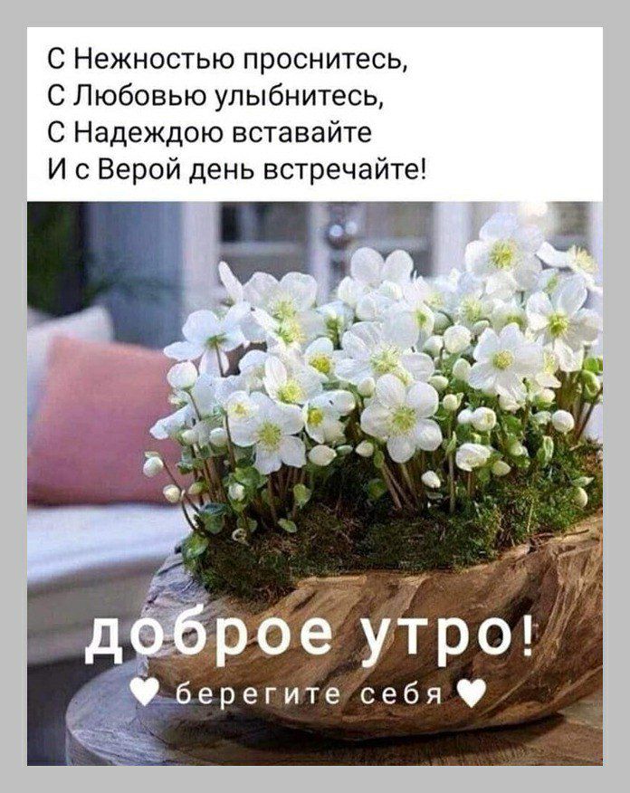 С Нежностью проснитесь С Любовью улыбнитесь С Надеждою вставайте И с Верой день встречайте