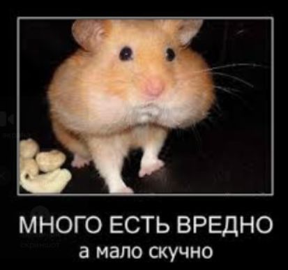 МНОГО ЕСТЬ ВРЕДНО а мало скучно
