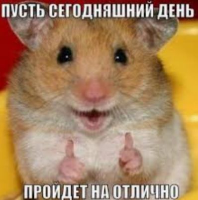 ЮТЬ СЕГОДНЁЪШНИИ дЕИЬ 7 _ приютил Ьтпйчн