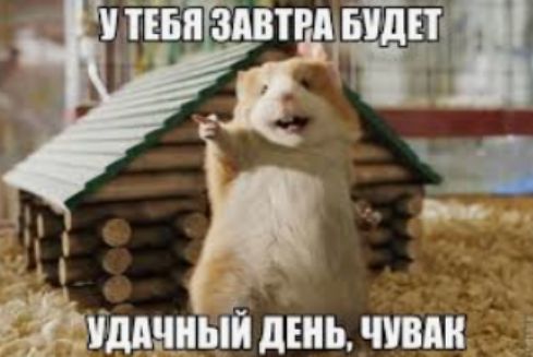 цівдяииып дъиьлши