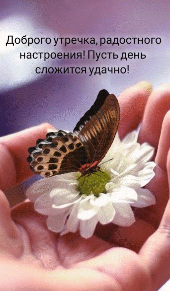 доброго утречка радостного настроения Пусть день сп тся удачно