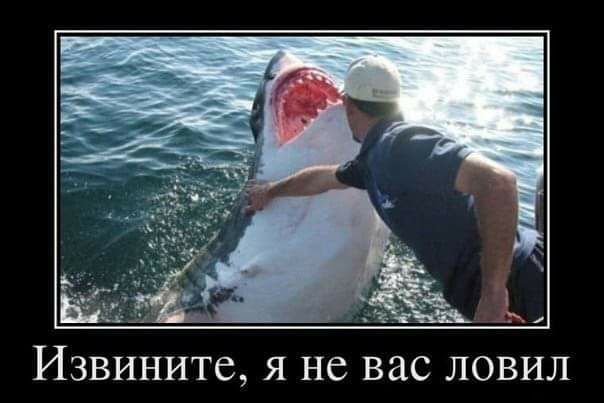 Извините я не вас ловил