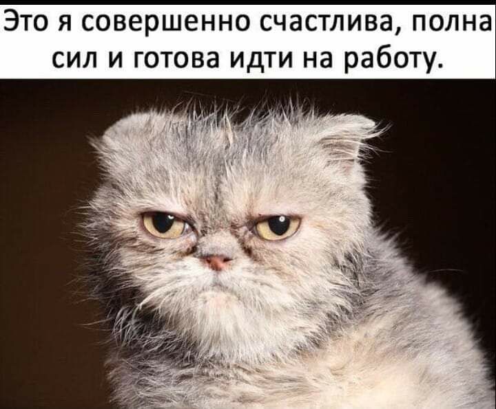 Это я совершенно счастлива полна сил и готова идти на работу