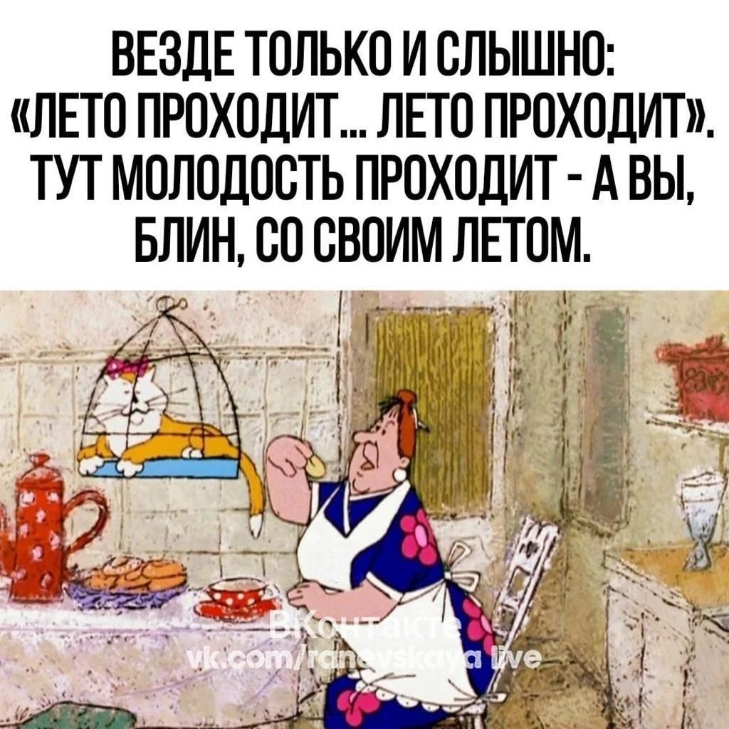 ВЕЗДЕ ТОЛЬКО И ОЛЫШНО ЛЕТО ПРОХОДИТ ЛЕТО ПРОХОДИТ ТУТ МОЛОДОСТЬ ПРОХОДИТ А ВЫ БЛИН СО СВОИМ ЛЕТОМ