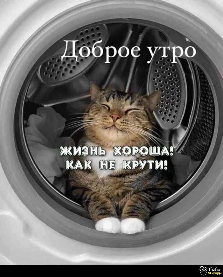 Доброе утро
жизнь хороша! как не крути!