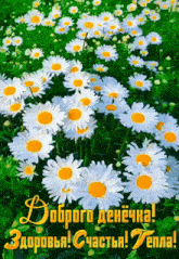 Доброого денёчка! Здоровья! Счастья! Тепла!