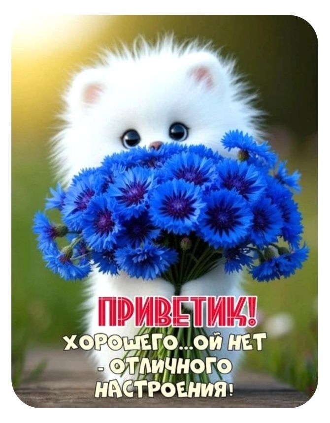 ПРИВЕТИК! хорошего...ой нет - отличного настроения!