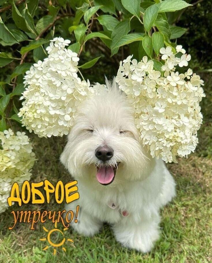 ДОБРОЕ утречко!