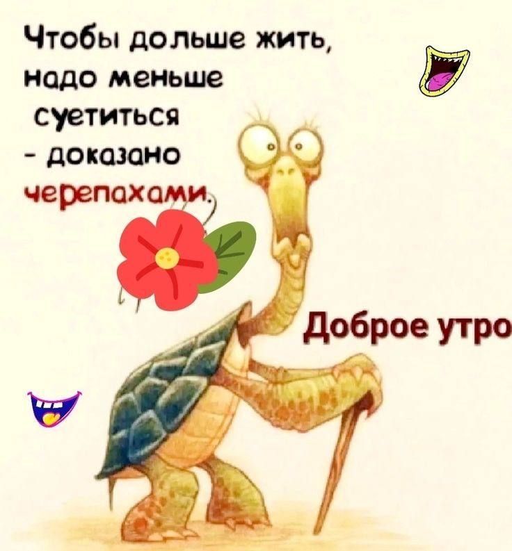 Чтобы дольше жить, надо меньше суетиться - доказано черепахами. Доброе утро