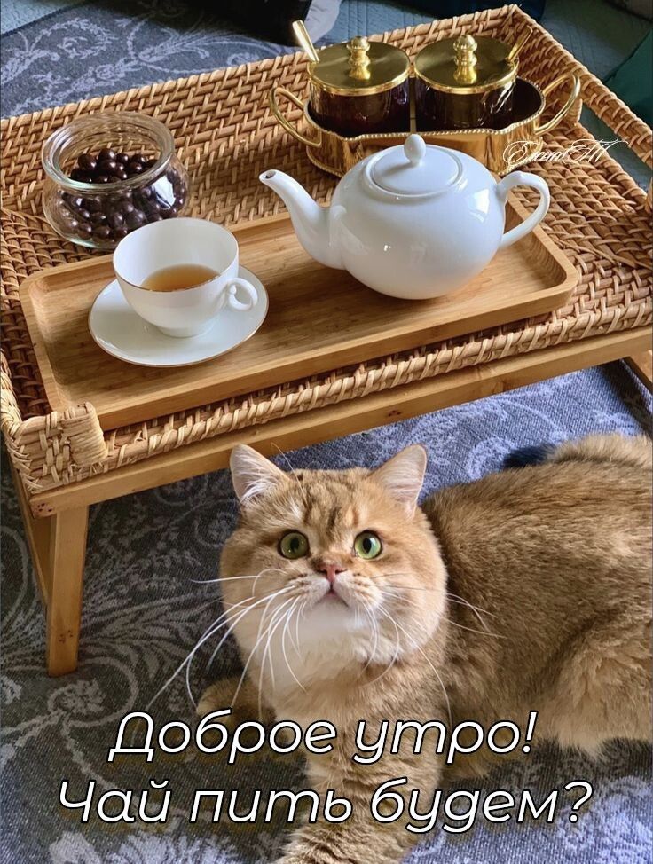 Доброе утро! Чай пить будем?