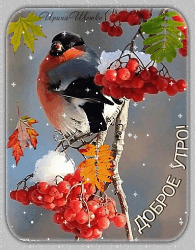 Доброе утро!