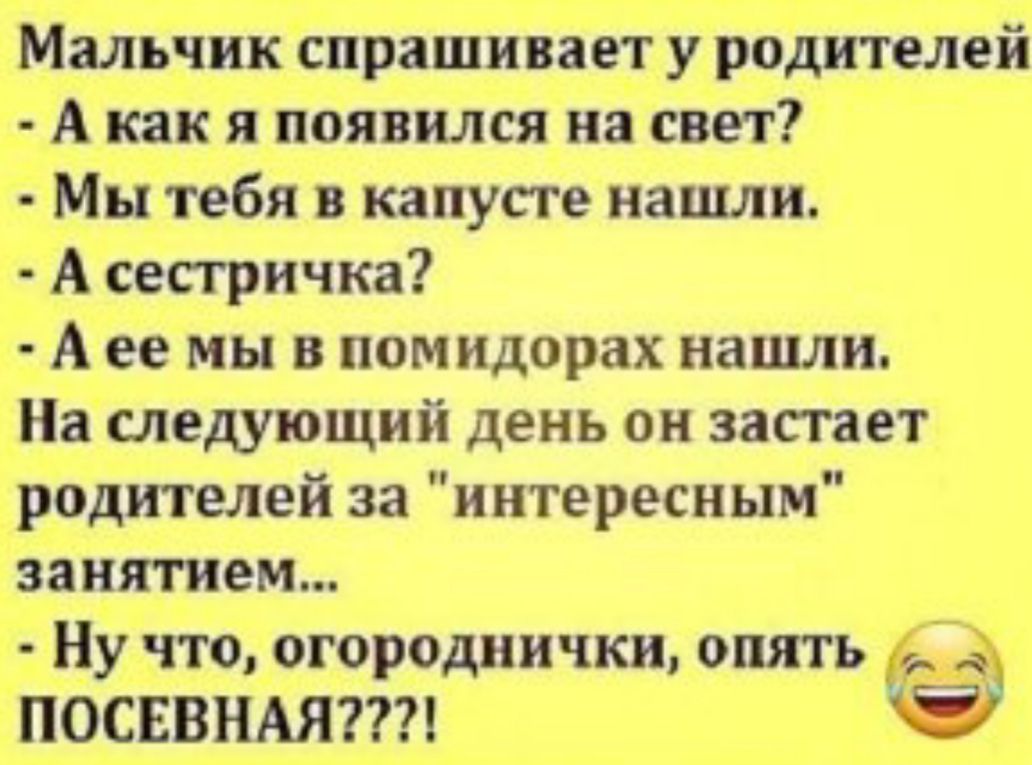 Страна анекдот. Семья как Страна анекдот. Анекдоты про страны. Анекдот про страну души. Анекдоты по странам.