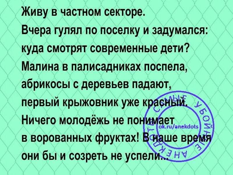 Живу в частном секторе Вчера гулял по поселку и задумался куда смотрят современные дети Малина в паписадниках поспела абрикосы с деревьев падают они бы и созреть не успел