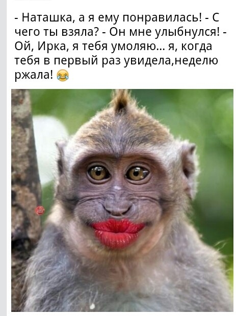 Наташка а я ему понравилась С чего ты взяла Он мне улыбнулся Ой Ирка я тебя умоляю я когда тебя в первый раз увиделамеделю ржала