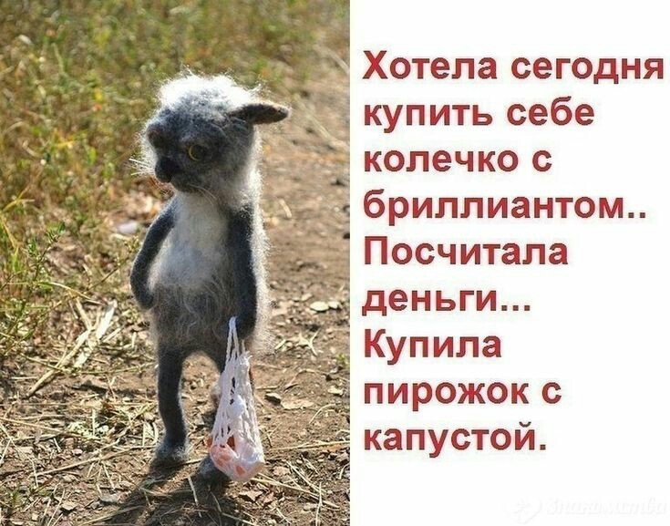 Хотела сегодня _ купить себе колечко с бриллиантом Посчитапа деньги Купила пирожок с капустой