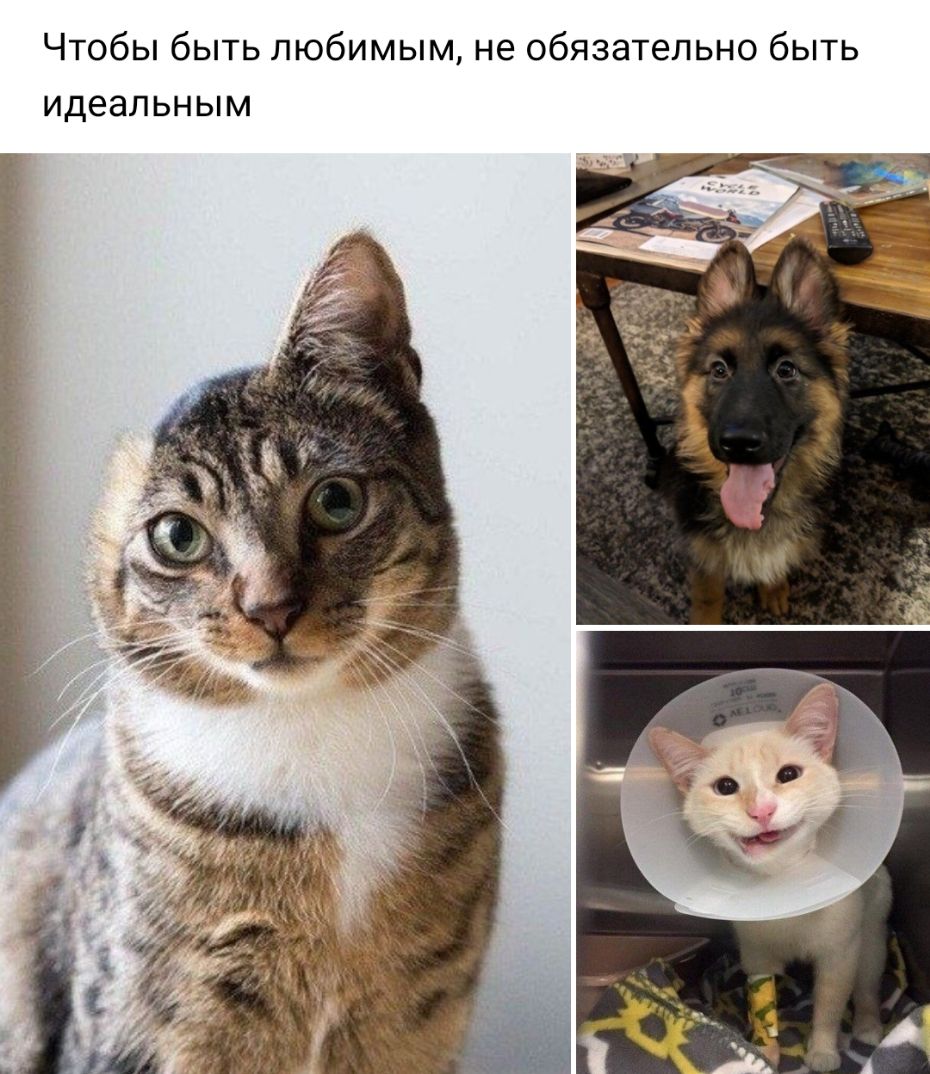 Чтобы быть любимым не обязательно быть идеальным