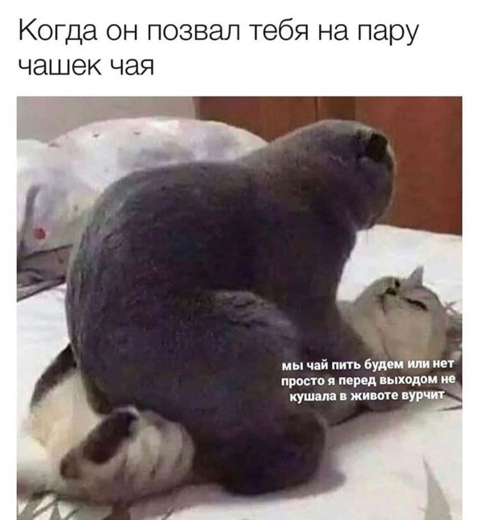 Когда он позвал тебя на пару чашек чая мы чай пить будем или нет просто я перед выходом на кушвпа в животе вурчит