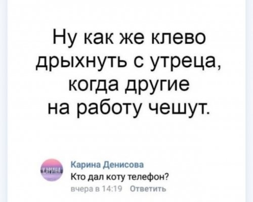 Ну как же клево дрыхнуть с утреца когда другие на работу чешут Карина денисова Кю дал коту телефон и