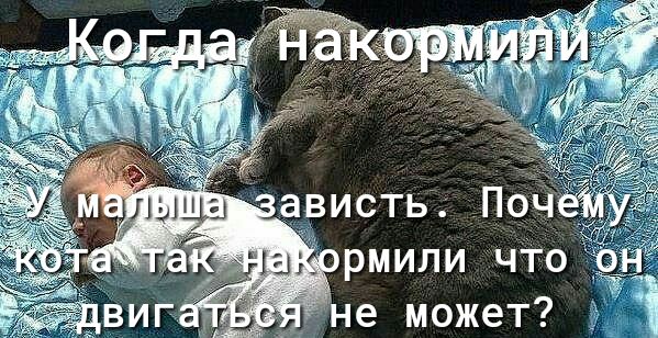авистьк ПОЧ ормили чго а