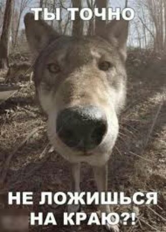 НЕ ЛОЖИ НА КРА ЁЬСЧ