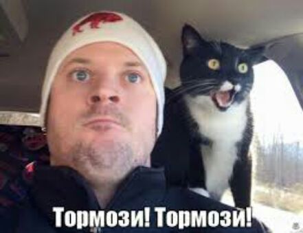 Тппмозипопмози