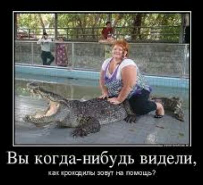 Вы когда нибудь видели щими ип мощи