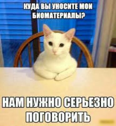 ШШППШШВШ _