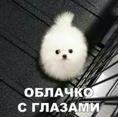 в иг овпАЧЁУЫ с гЛАЗАДЁі