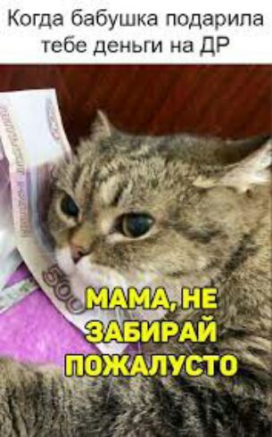 Когда ушка подарила гебь деньги на ДР