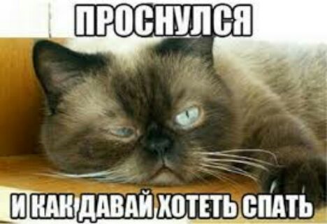 Вэ ищддвдймощьспш