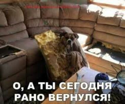 4 о А ты её РАНО вышлет