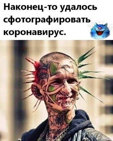 Наконец то удалось сфотографировать коронавирус