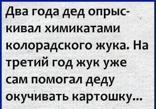 Два года дед опрыс кивал химикатами колорадского жука На третий год жук уже сам помогал деду окучИвать картошку