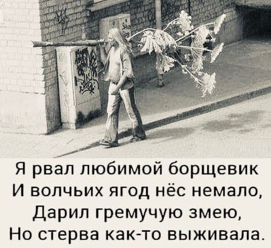 Я рвал любимой борщевик И волчьих ягод нёс немало Дарил гремучую змею Но стерва как то выживала