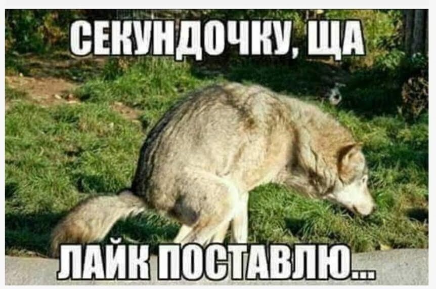 сгниндпчнчЩА