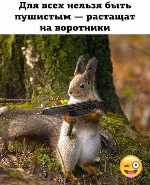 для всех нельзя быть пушистым растащат на воротники