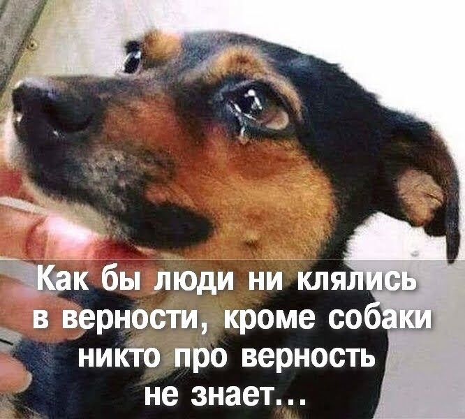 Жк бы люди ни кля __і в верности кроме со никто про верность не знает