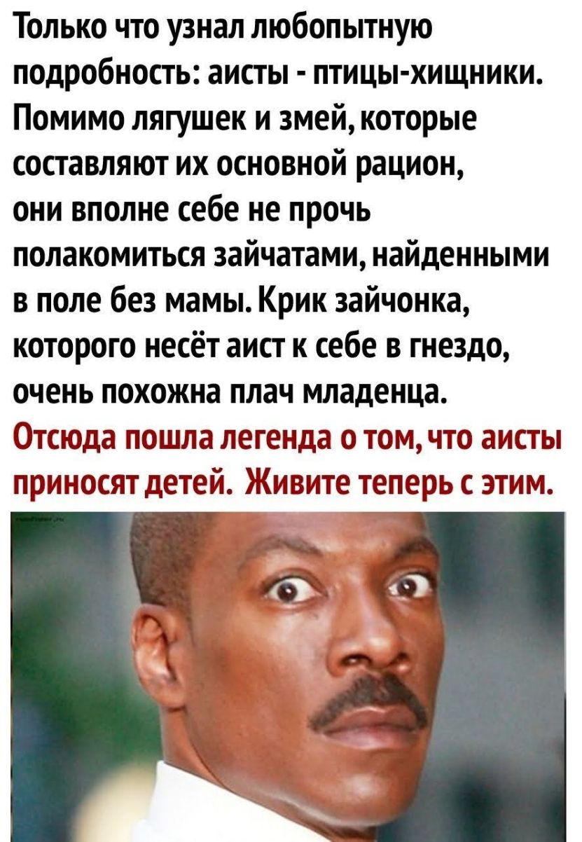 Только что узнал любопытную подробность аисты птицы хищники Помимо лягушек и змей которые составляют их основной рацион они вполне себе не прочь полакомиться зайчатами найденными в поле без мамы Крик зайчонка которого несёт аист к себе в гнездо очень похожна плач младенца Отсюда пошла легенда о том что аисты приносят детей Живите теперь с этим