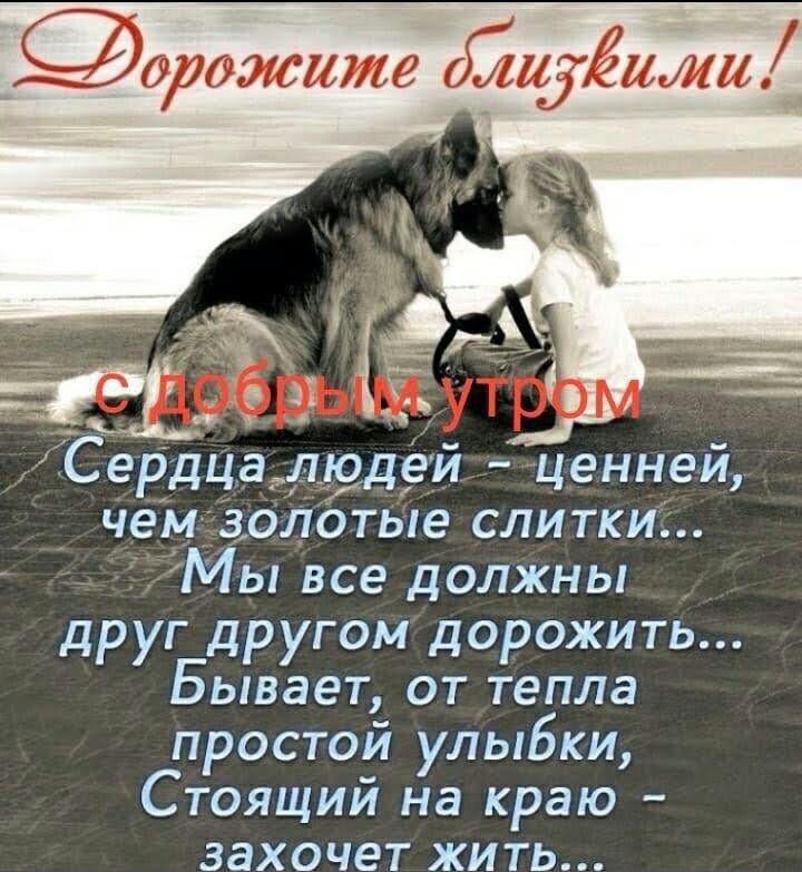 орожише д21 _Ёижи ч _ и 4Сердцад__19д9и ценнеи чем золотые слитки Мы все должны друг другом дорожить Бывает от тепла простой улыбки Стоящий на краю захочет жить Ё