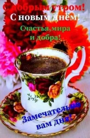 тд _я новы г
