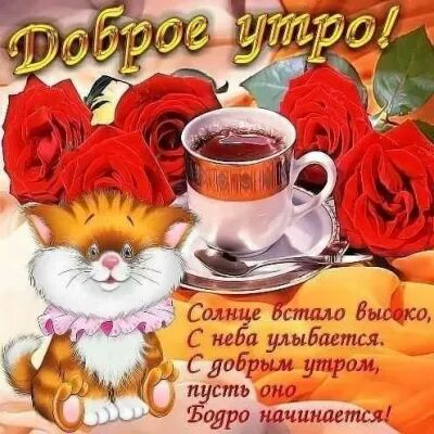 Солнце стало Вышки С мба Эниддется С добрым утром п сть от одре Ечшшгтся
