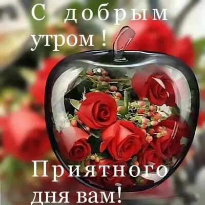 ПРИЁТН бэ дня ваМЁ 4