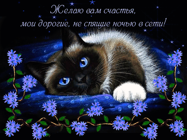 Желаю вам часлхця мои Зорогиёт не спящие ю сепи