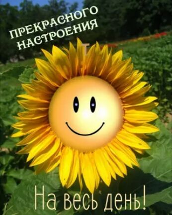 На весь День